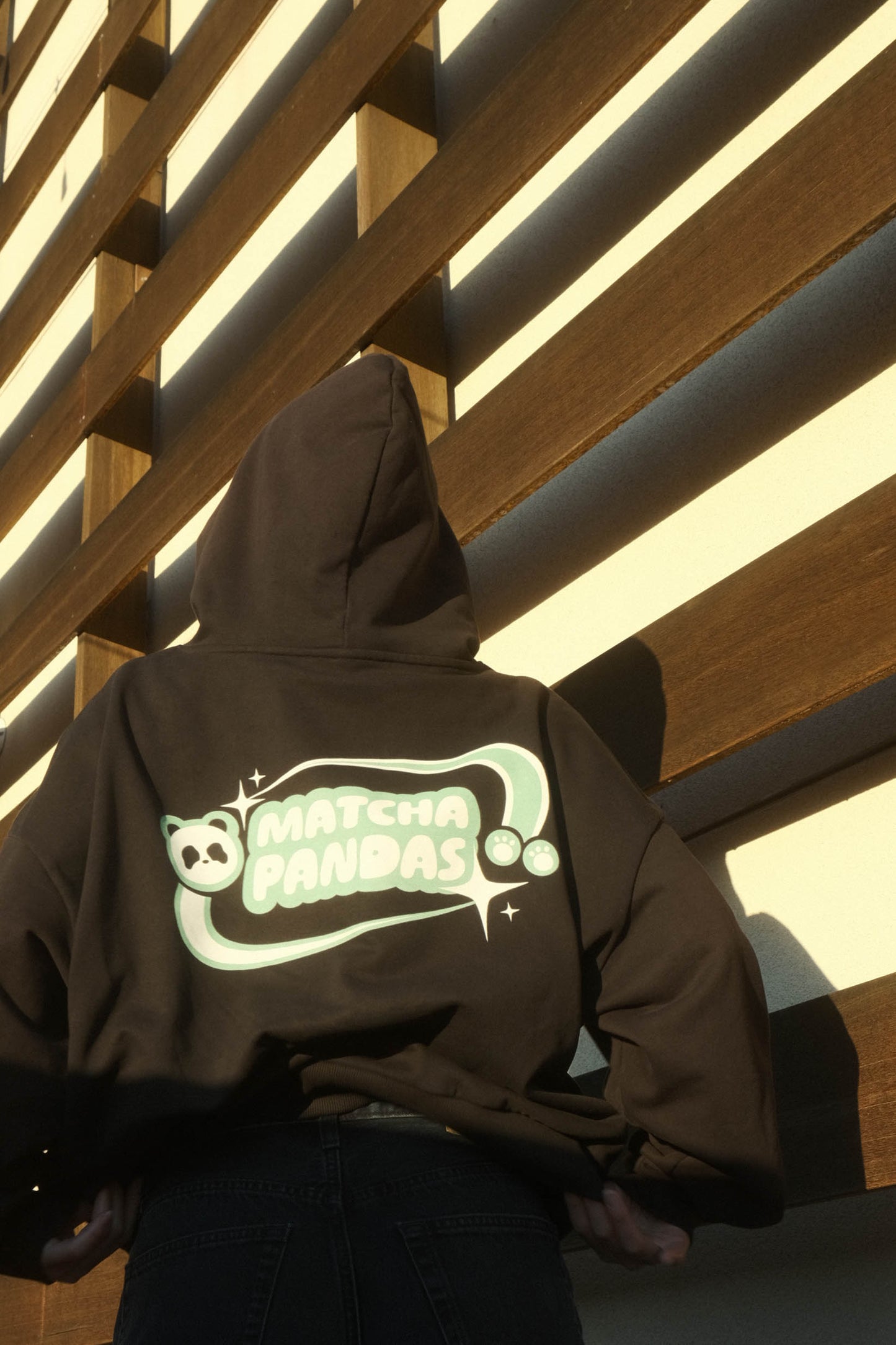 Star Hoodie